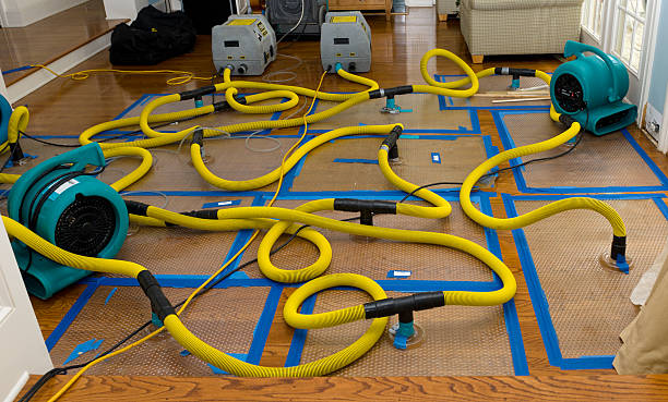 Professional Structural Drying And Dehumidification technician working in Warren, IN